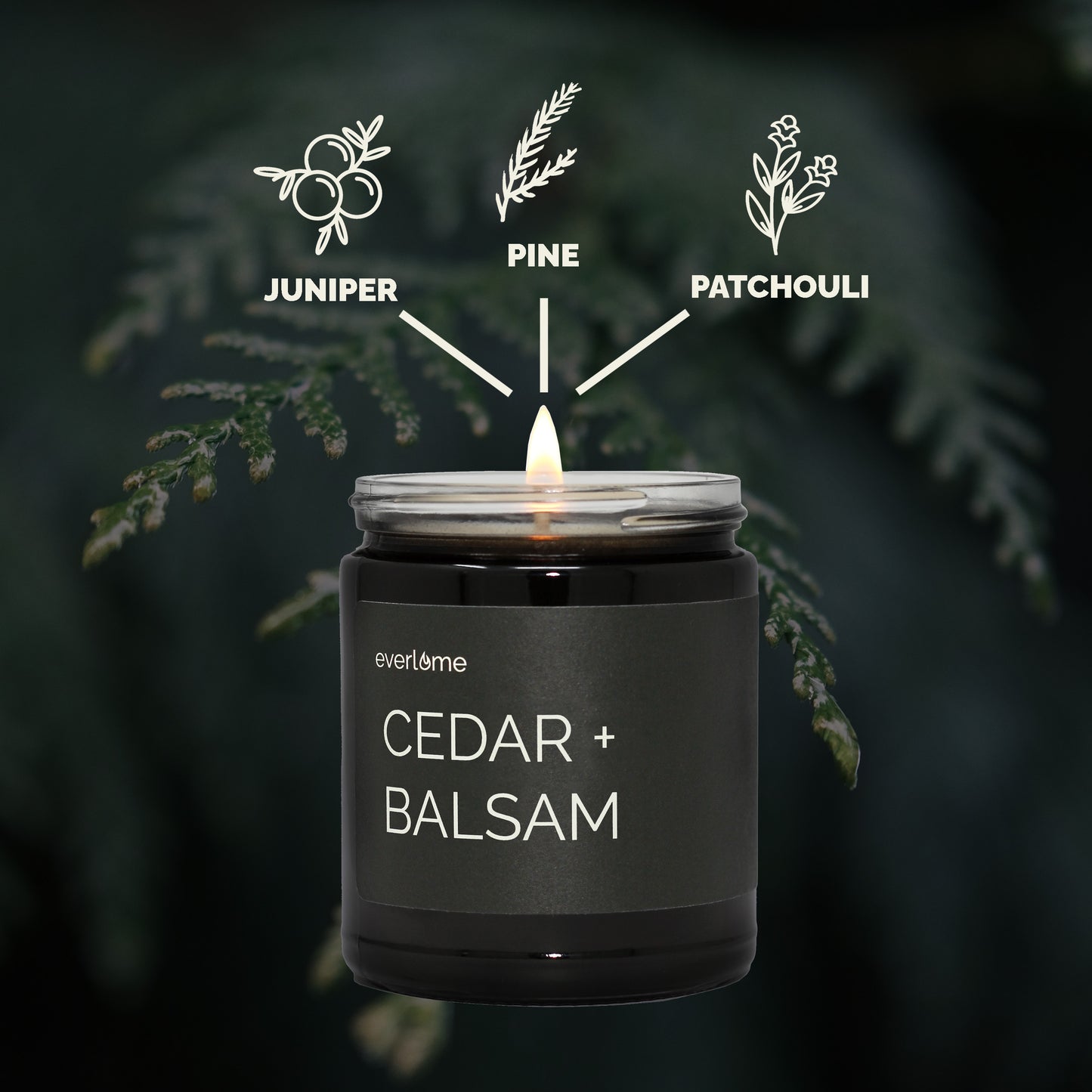 Cedar + Balsam Candle